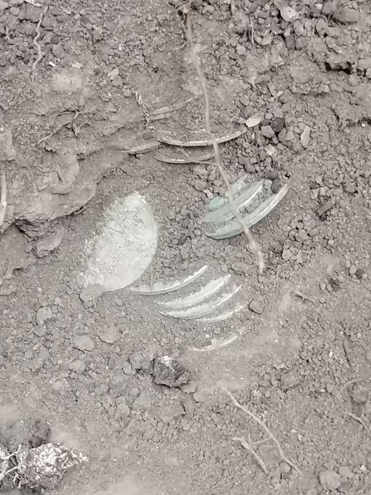 Large coins in the ground.